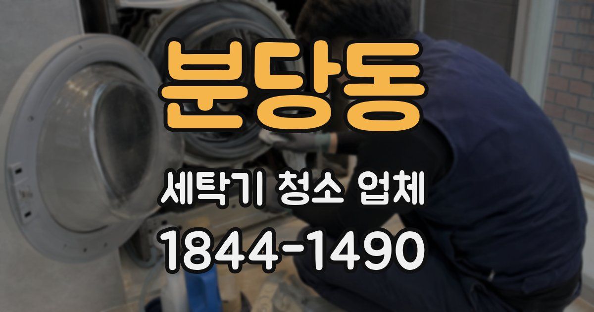 분당동 세탁기 청소 업체