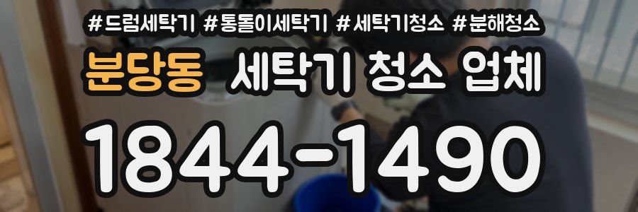 분당동 세탁기 청소 업체
