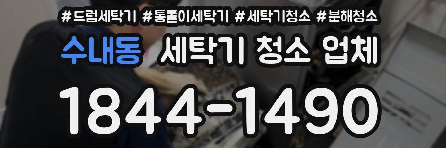 수내동 세탁기 청소 업체