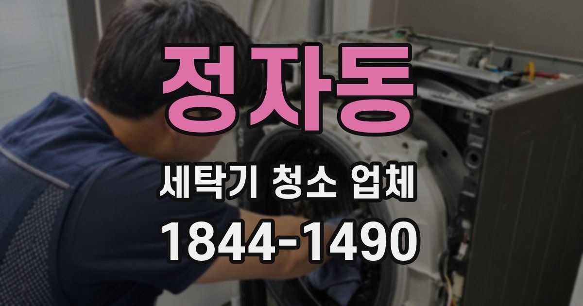 정자동 세탁기 청소 업체