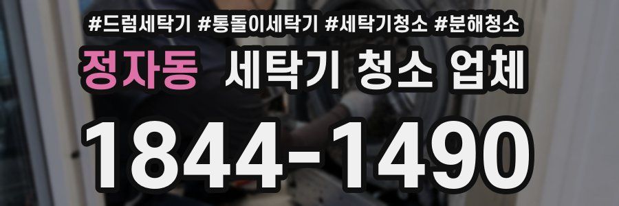 정자동 세탁기 청소 업체
