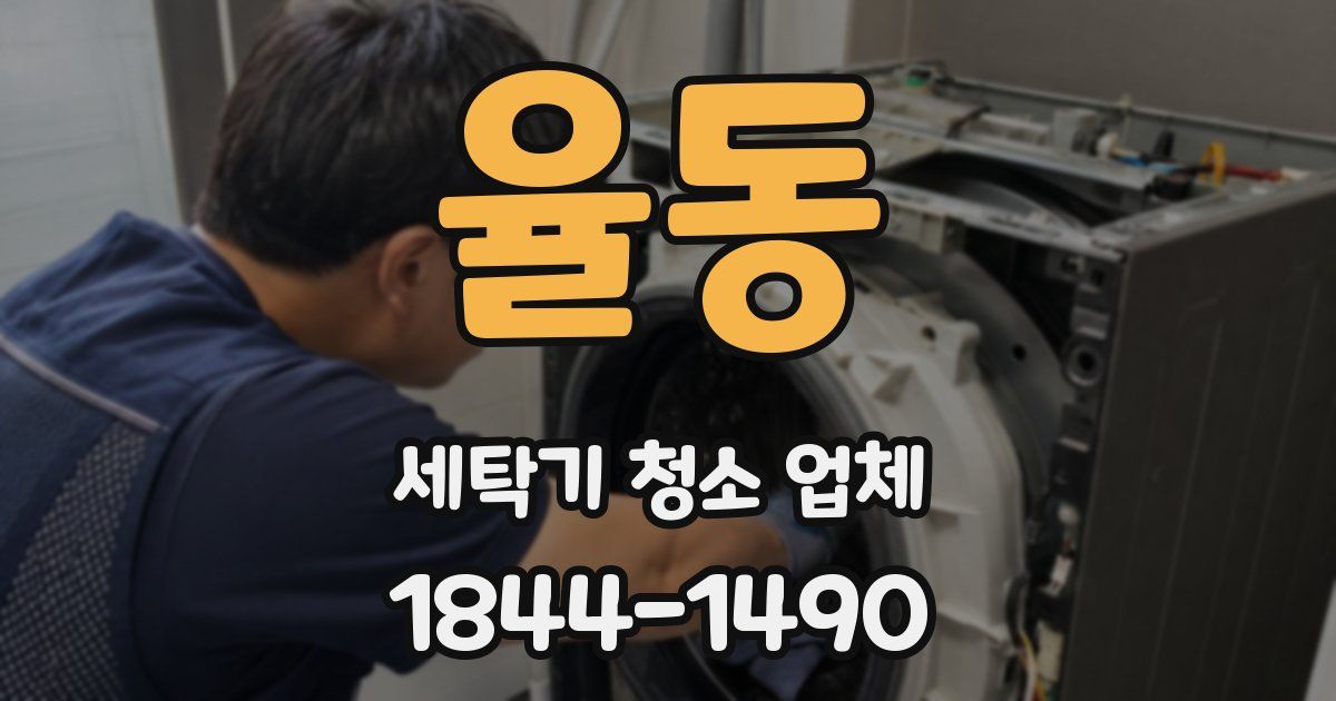율동 세탁기 청소 업체