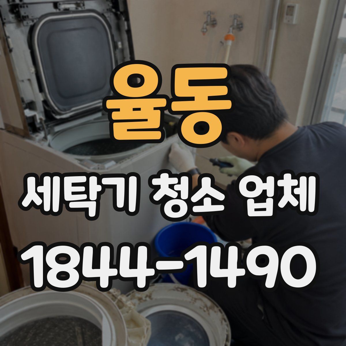 율동 세탁기 청소 업체