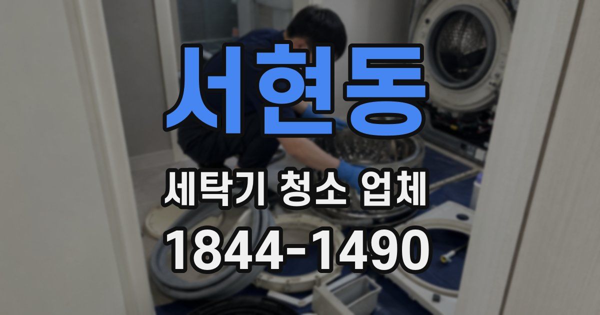 서현동 세탁기 청소 업체