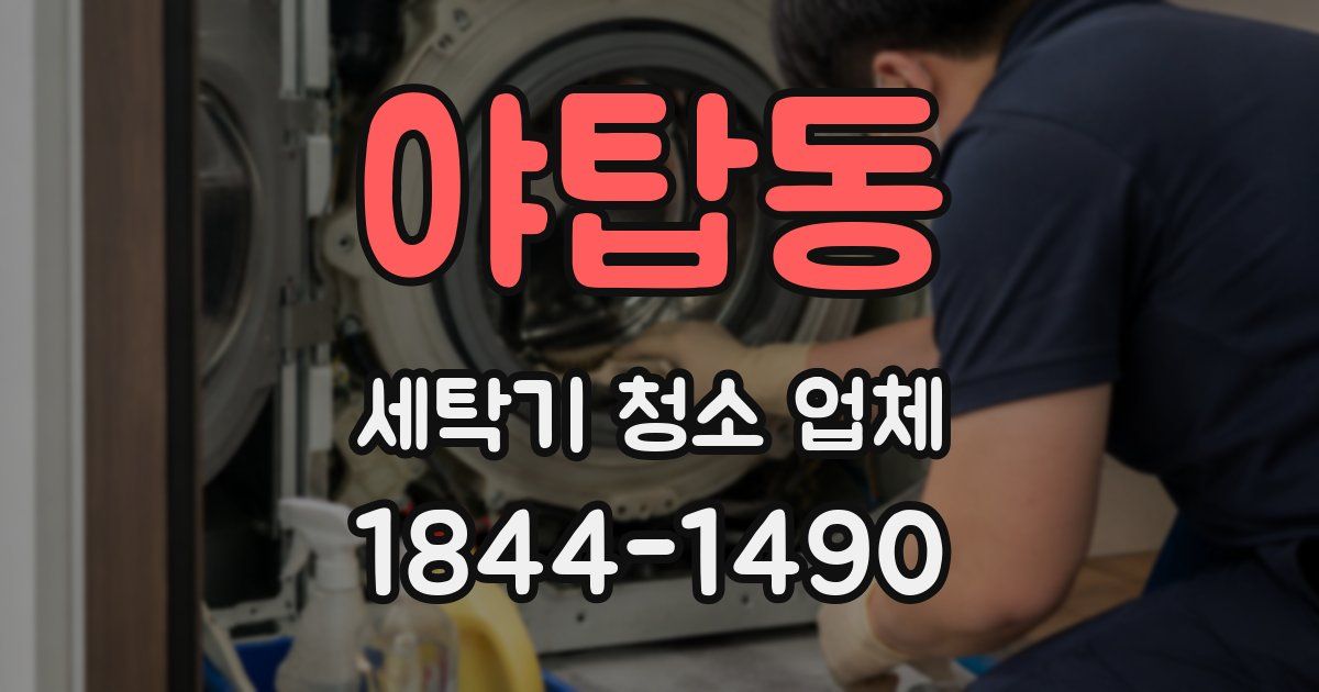 야탑동 세탁기 청소 업체