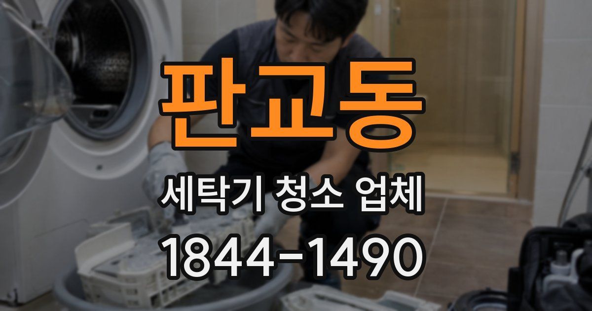 판교동 세탁기 청소 업체