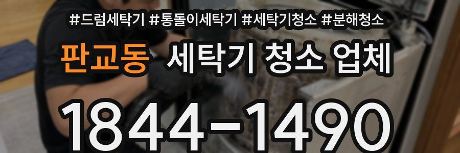 판교동 세탁기 청소 업체