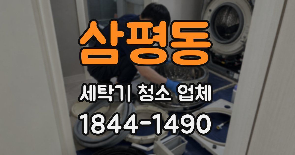 삼평동 세탁기 청소 업체