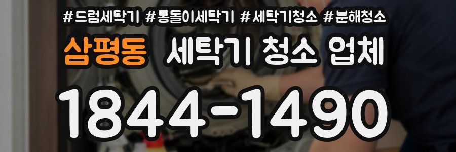 삼평동 세탁기 청소 업체