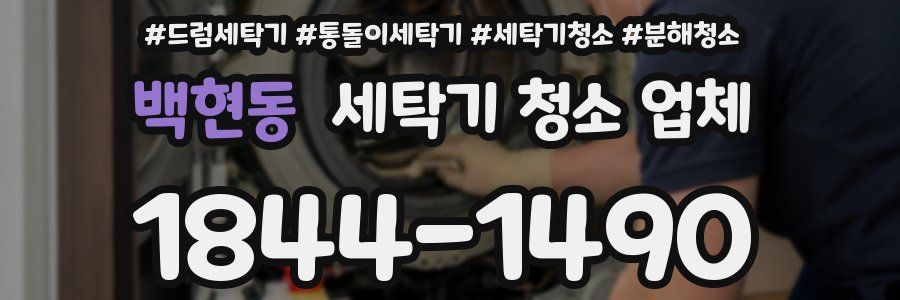 백현동 세탁기 청소 업체