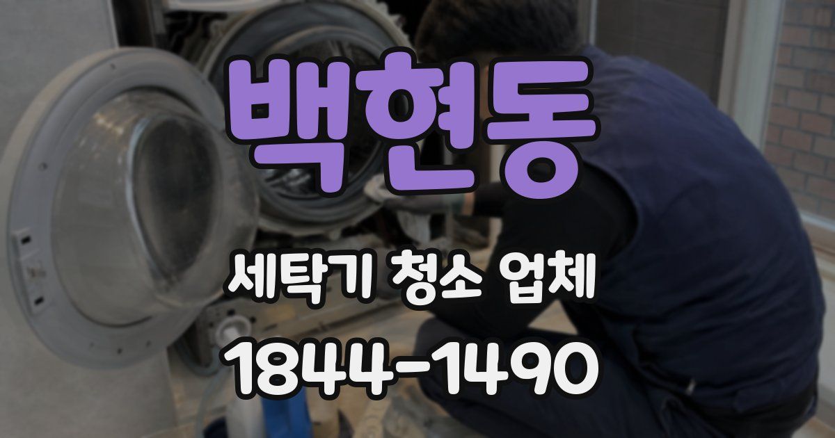 백현동 세탁기 청소 업체