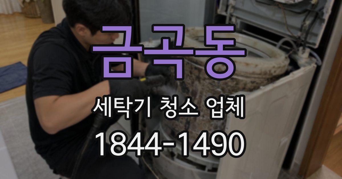 금곡동 세탁기 청소 업체