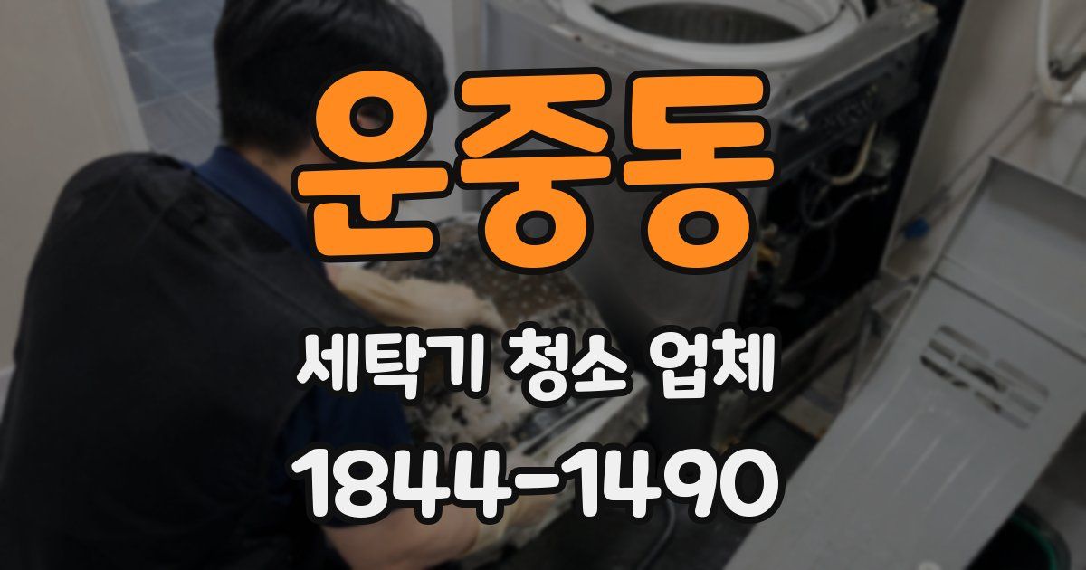 운중동 세탁기 청소 업체