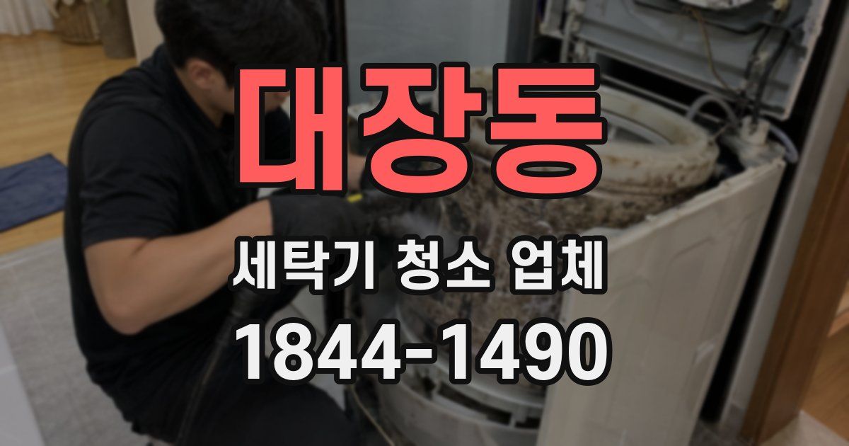대장동 세탁기 청소 업체