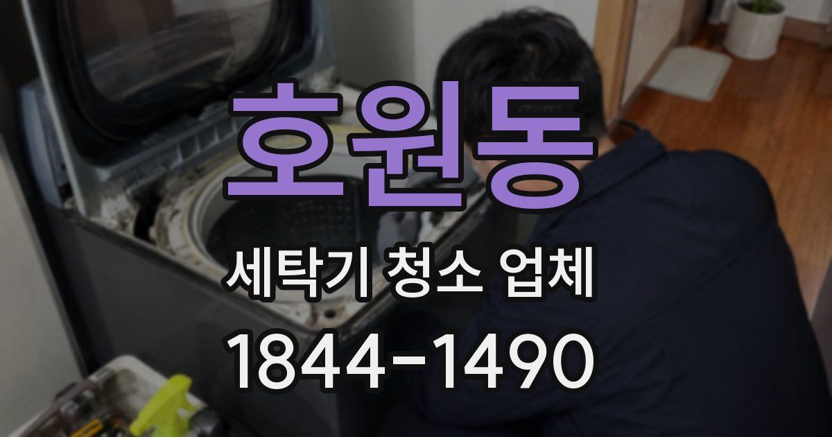 호원동 세탁기 청소 업체