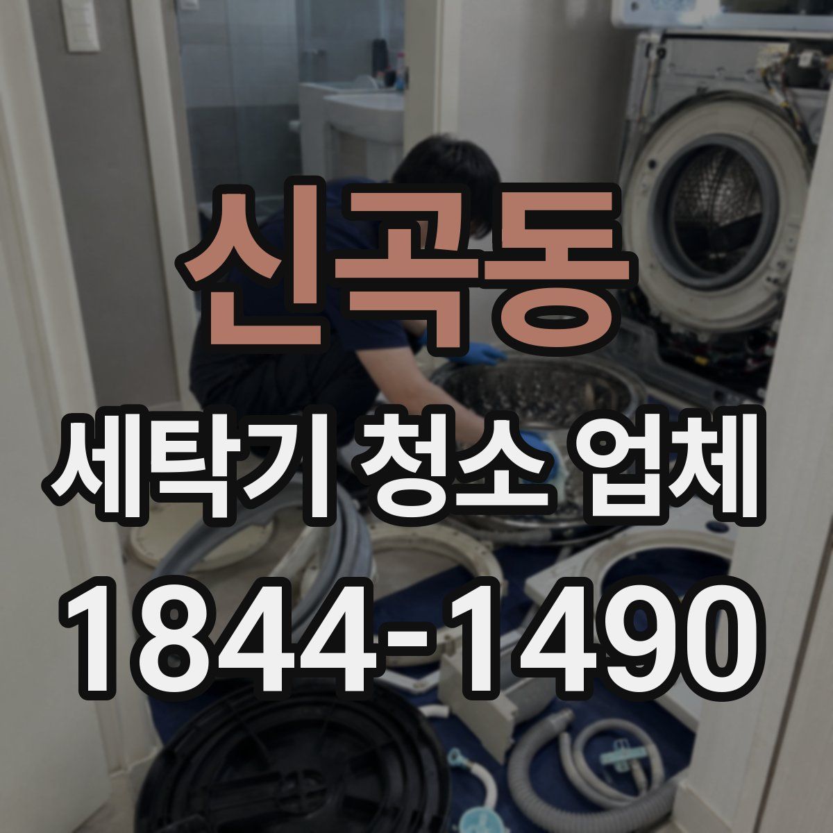 신곡동 세탁기 청소 업체