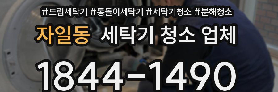 자일동 세탁기 청소 업체