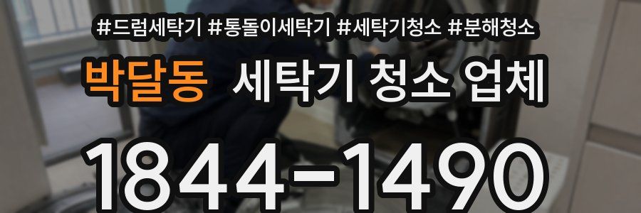 박달동 세탁기 청소 업체