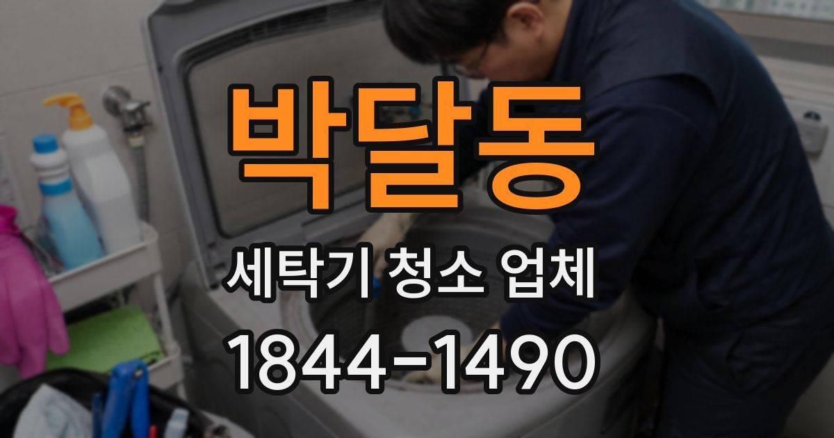 박달동 세탁기 청소 업체