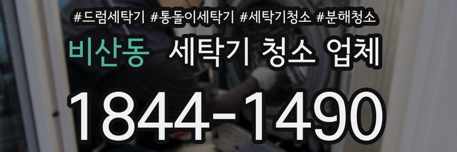 비산동 세탁기 청소 업체