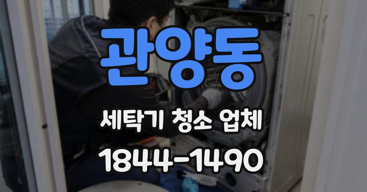 관양동 세탁기 청소 업체