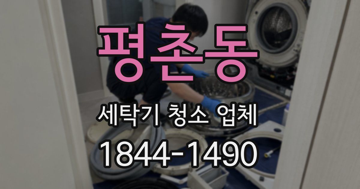 평촌동 세탁기 청소 업체