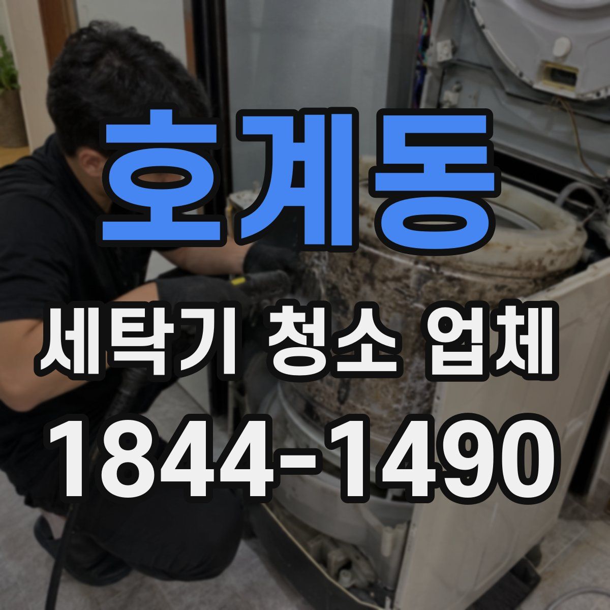 호계동 세탁기 청소 업체