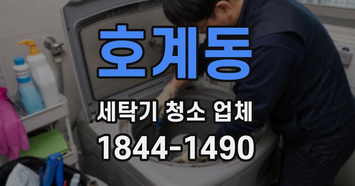 호계동 세탁기 청소 업체