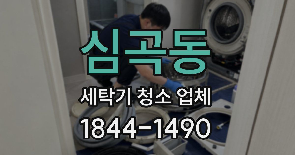 심곡동 세탁기 청소 업체