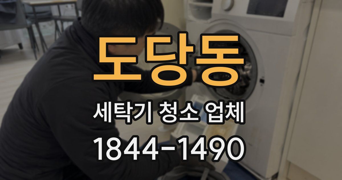 도당동 세탁기 청소 업체