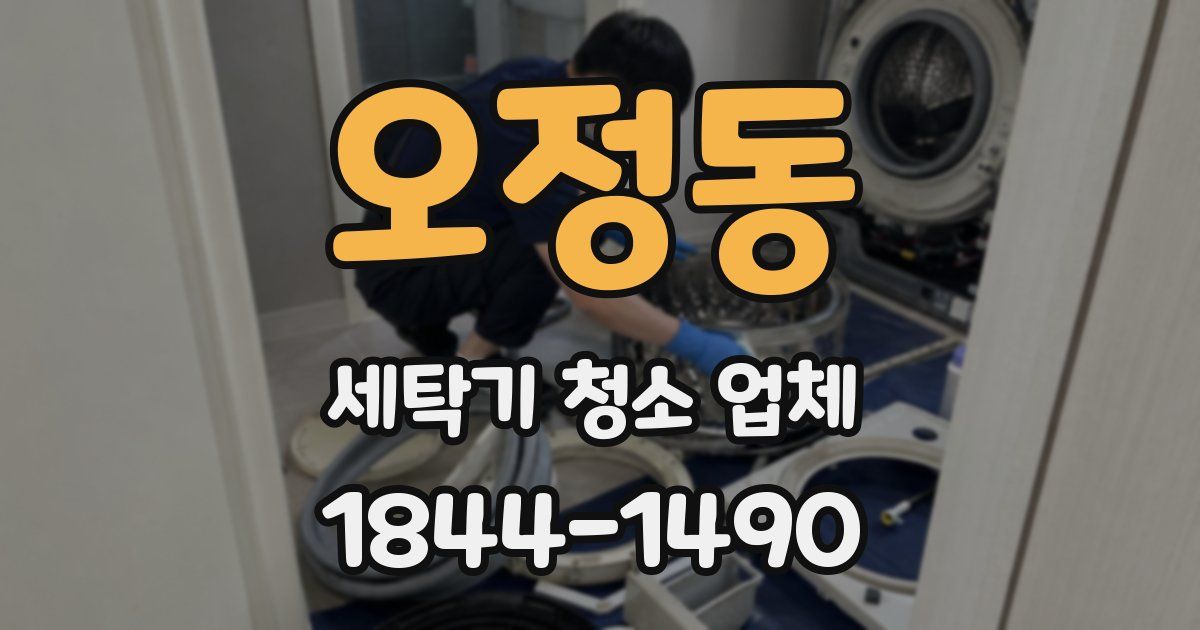오정동 세탁기 청소 업체