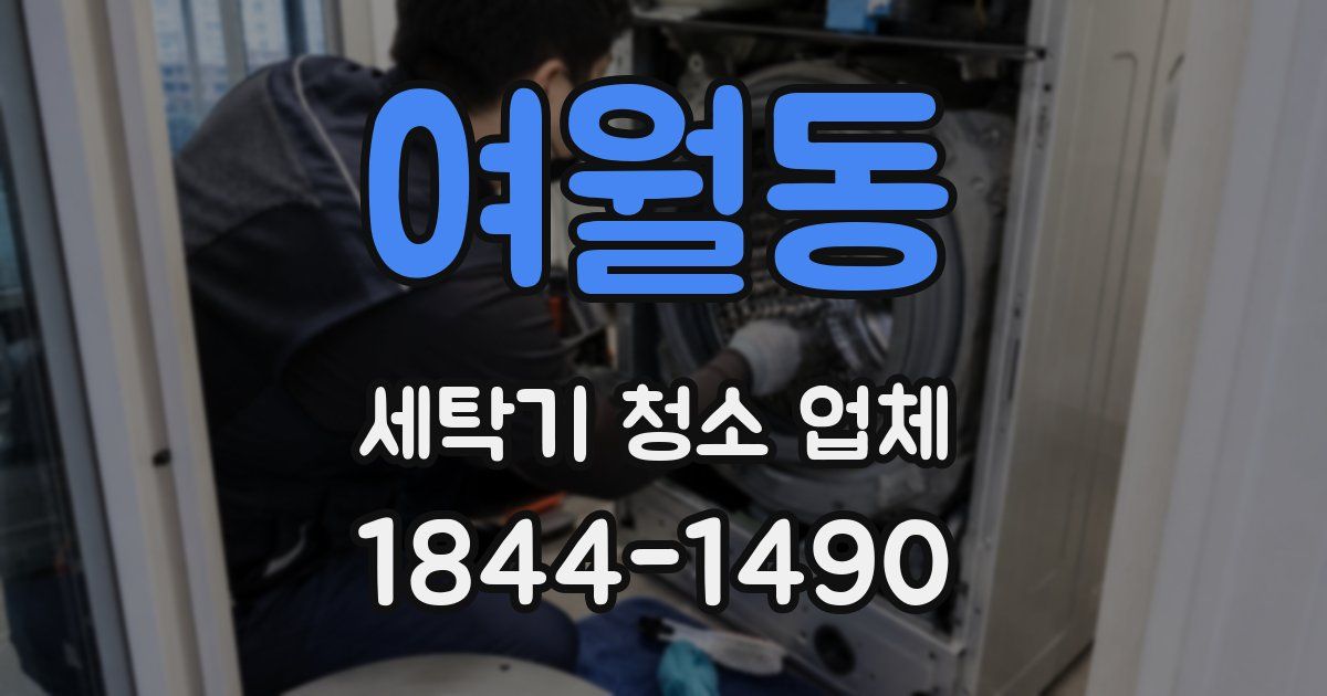 여월동 세탁기 청소 업체