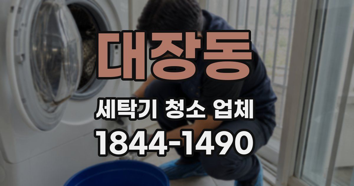 대장동 세탁기 청소 업체
