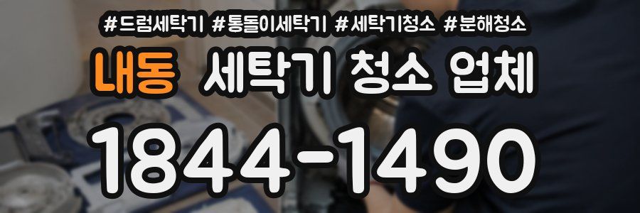 내동 세탁기 청소 업체
