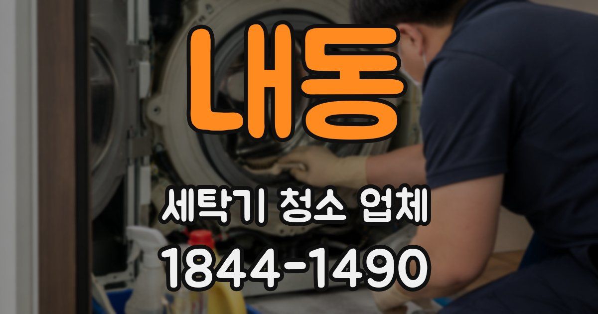 내동 세탁기 청소 업체