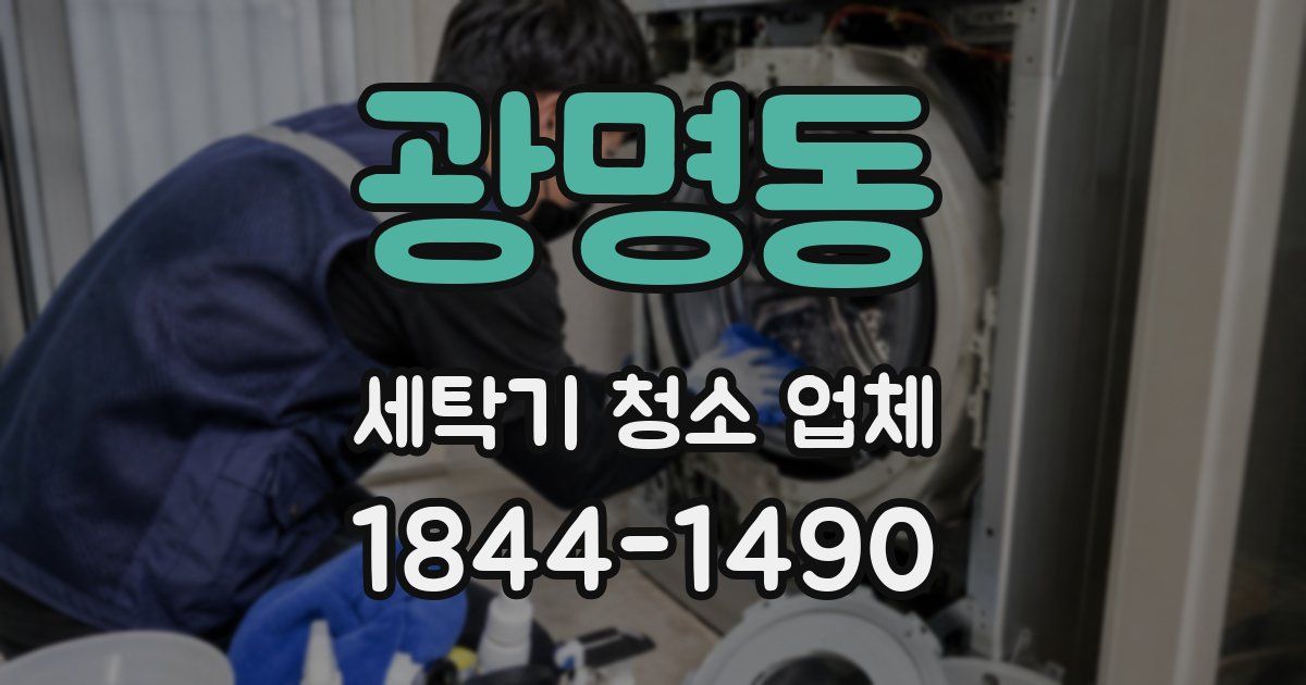 광명동 세탁기 청소 업체