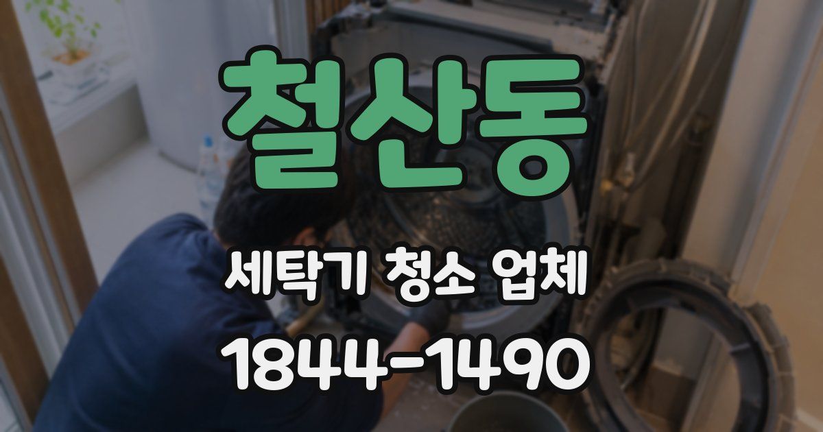 철산동 세탁기 청소 업체