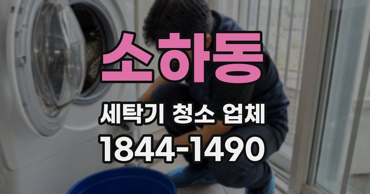 소하동 세탁기 청소 업체