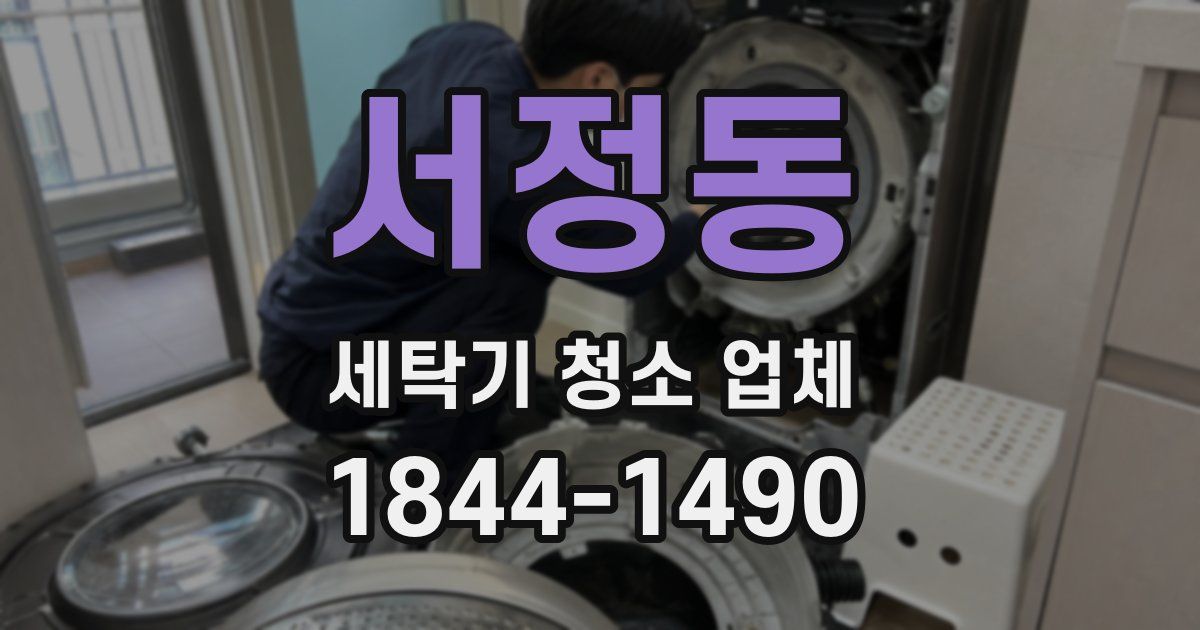 서정동 세탁기 청소 업체