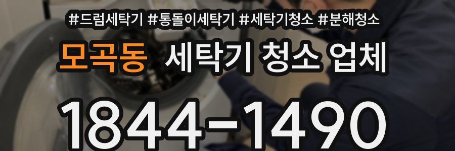 모곡동 세탁기 청소 업체