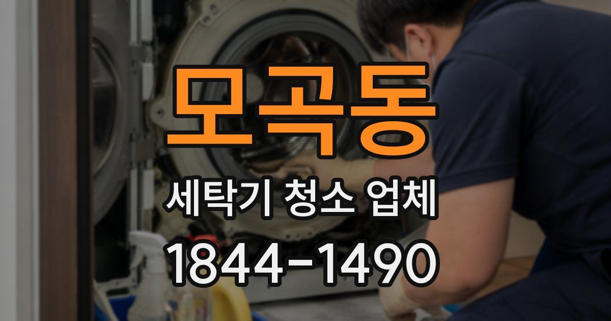 모곡동 세탁기 청소 업체