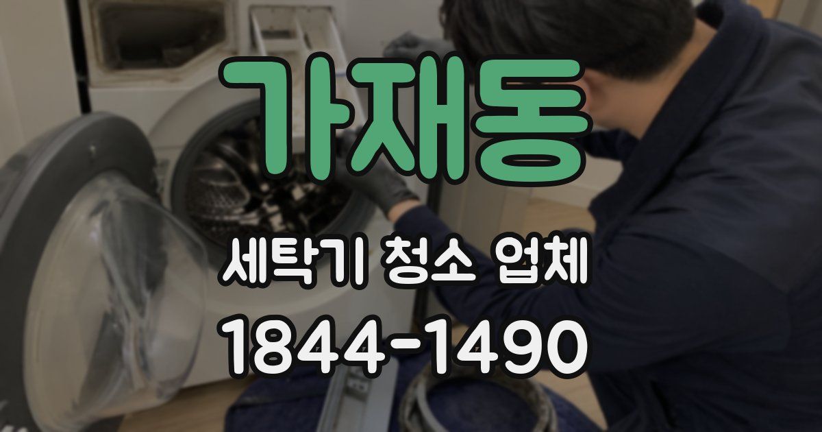 가재동 세탁기 청소 업체