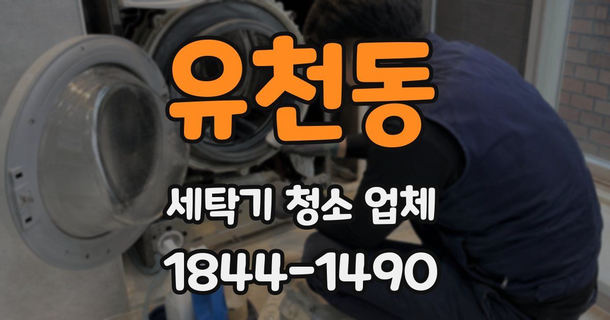 유천동 세탁기 청소 업체