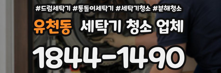 유천동 세탁기 청소 업체
