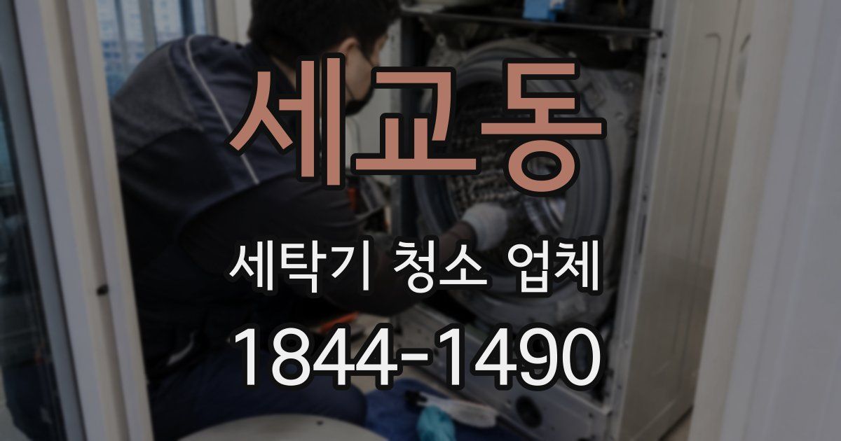 세교동 세탁기 청소 업체