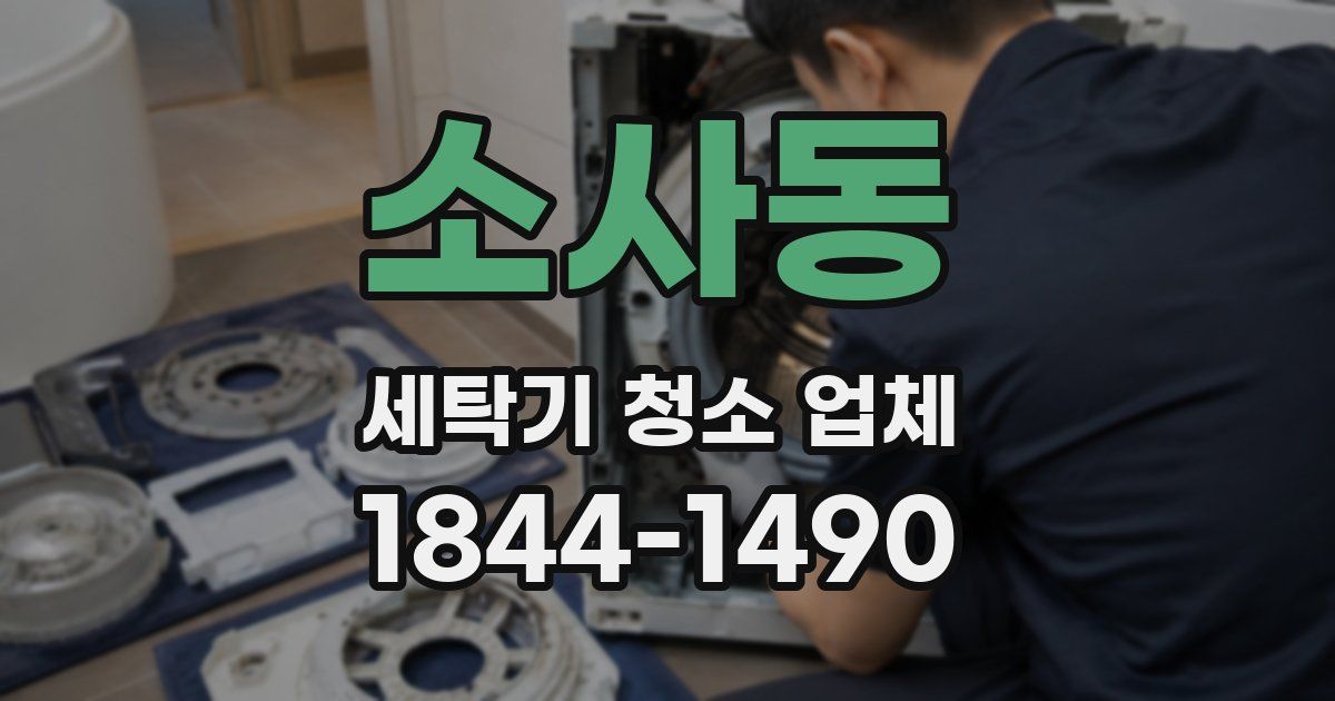 소사동 세탁기 청소 업체