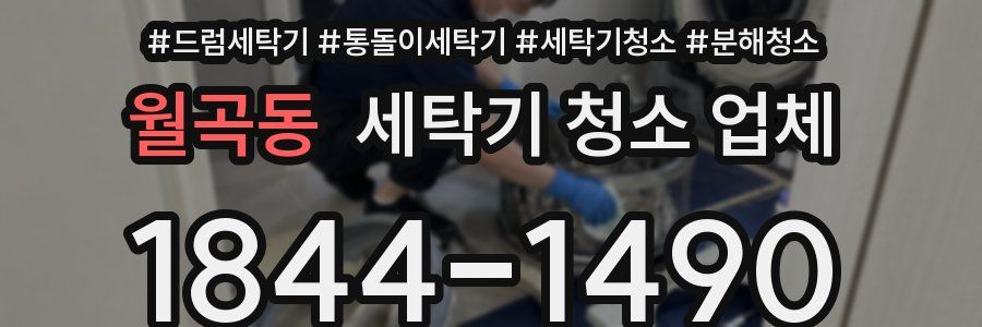 월곡동 세탁기 청소 업체