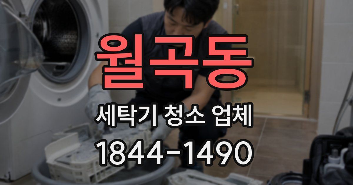월곡동 세탁기 청소 업체