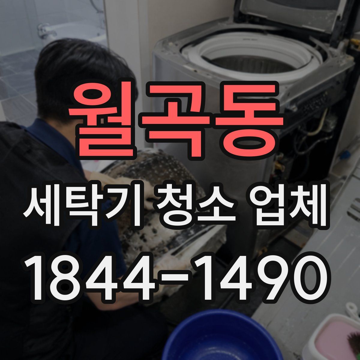 월곡동 세탁기 청소 업체