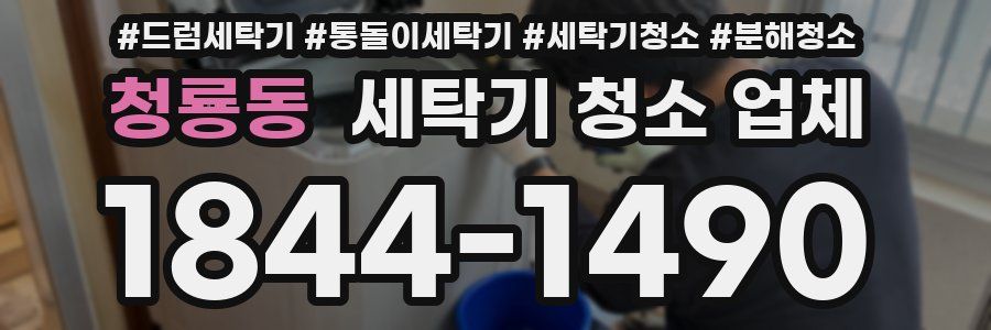 청룡동 세탁기 청소 업체